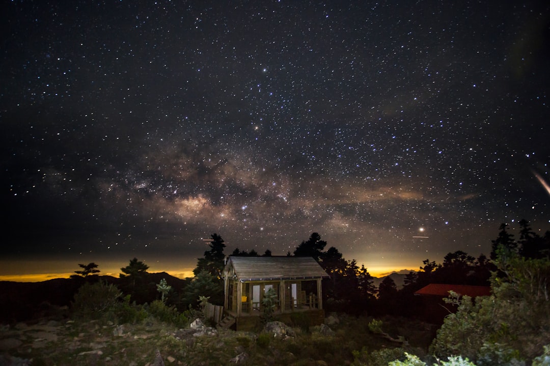 Laughing Under the Stars: A Comedic Guide to Camping for City Slickers